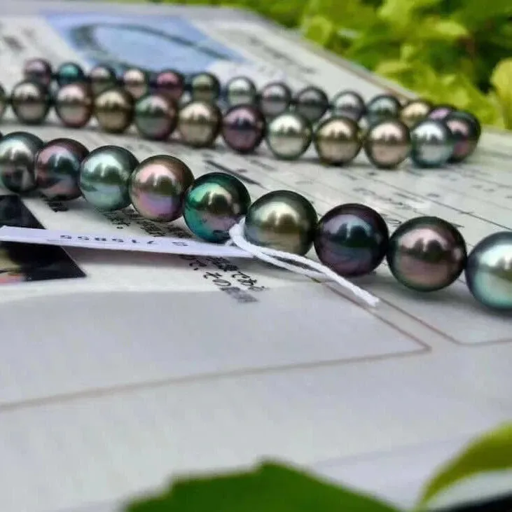 黒蝶クイーン | 8.0-11.0 mm Tahitian South Sea Multicolor Pearl Necklace | PSL Certificate