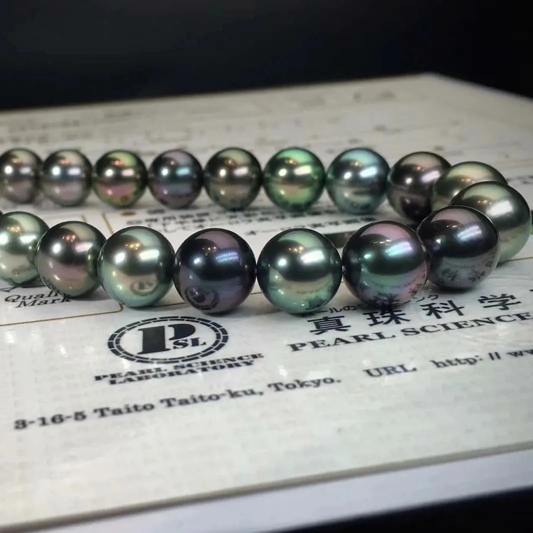 黒蝶クイーン | 8.0-11.0 mm Tahitian South Sea Multicolor Pearl Necklace | PSL Certificate