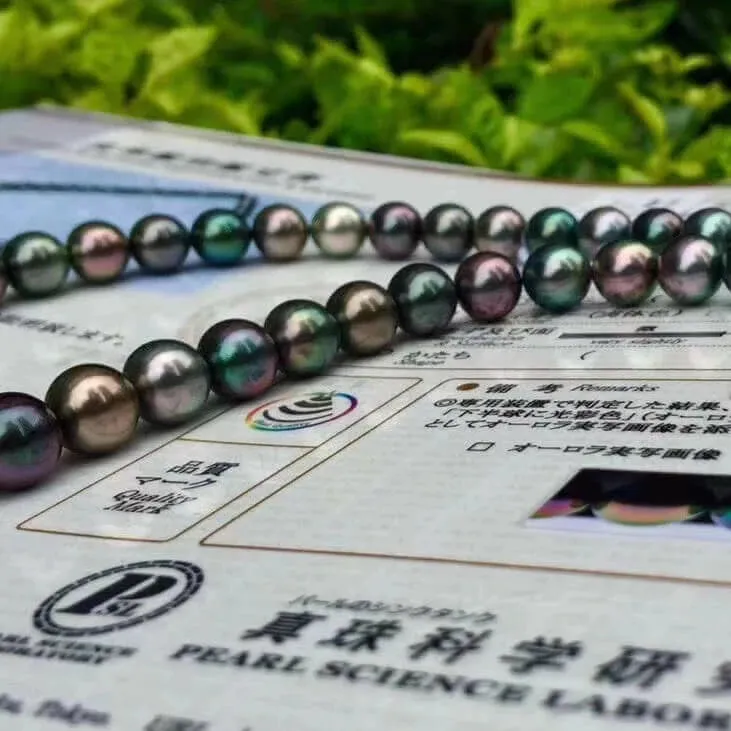 黒蝶クイーン | 8.0-11.0 mm Tahitian South Sea Multicolor Pearl Necklace | PSL Certificate