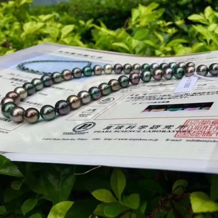 黒蝶クイーン | 8.0-11.0 mm Tahitian South Sea Multicolor Pearl Necklace | PSL Certificate
