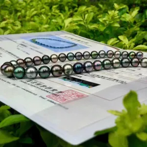 黒蝶クイーン | 8.0-11.0 mm Tahitian South Sea Multicolor Pearl Necklace | PSL Certificate