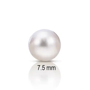 7.5mm Premium Japanese Akoya Add-A-Pearl