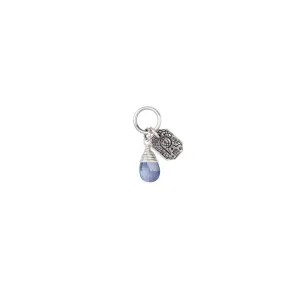 Creativity Signature Attraction Charm in Iolite