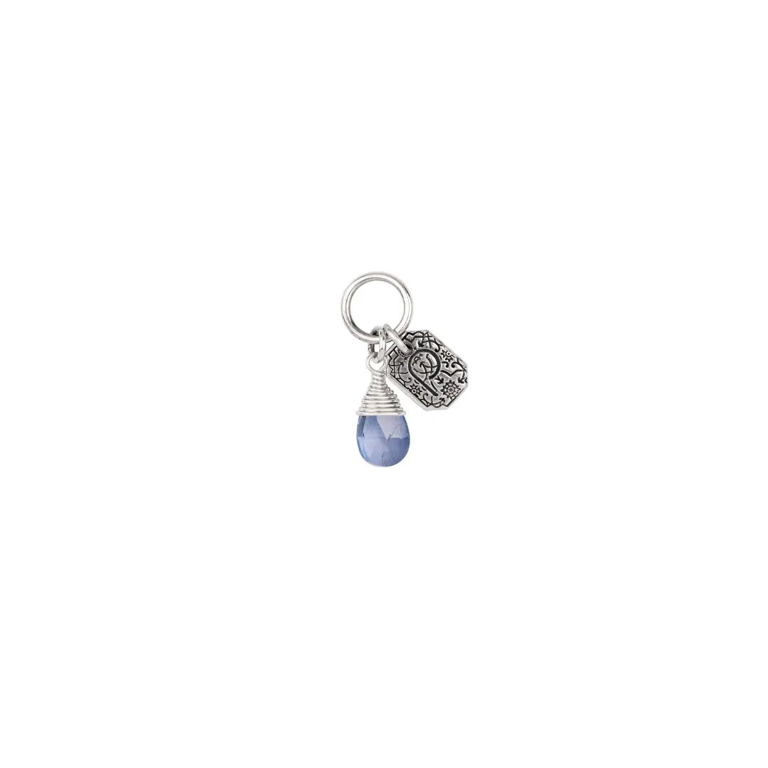 Creativity Signature Attraction Charm in Iolite