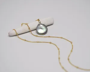 Fish Scale Neckalce