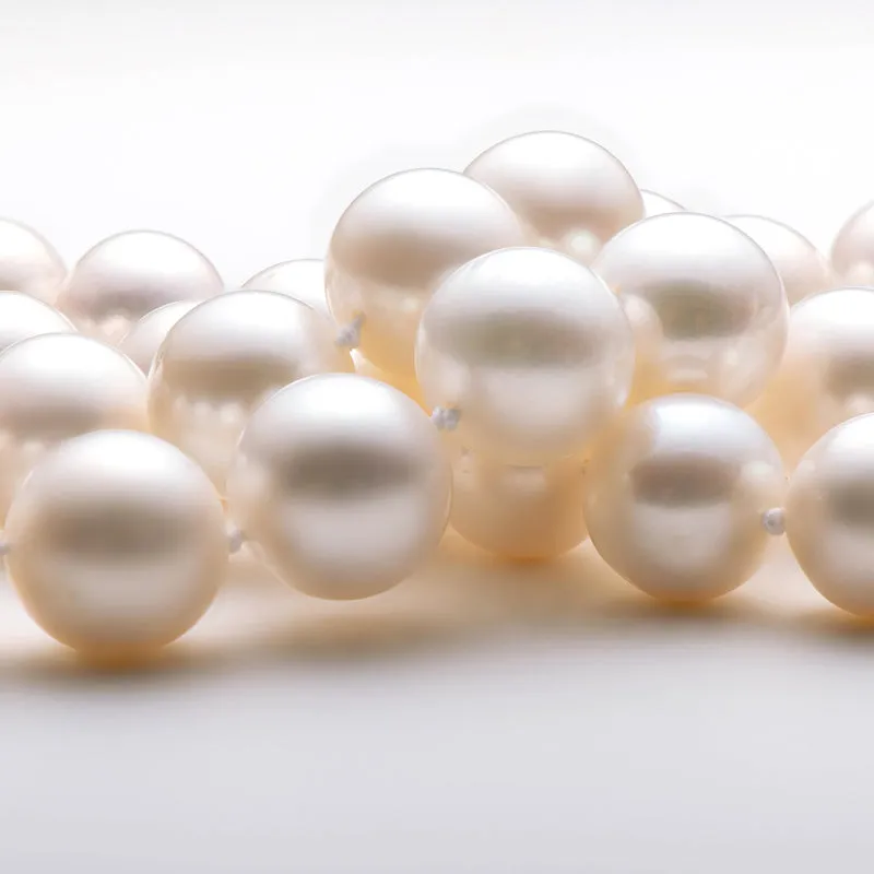 Freshwater Cultured White Pearl Necklace U-shaped Buckle