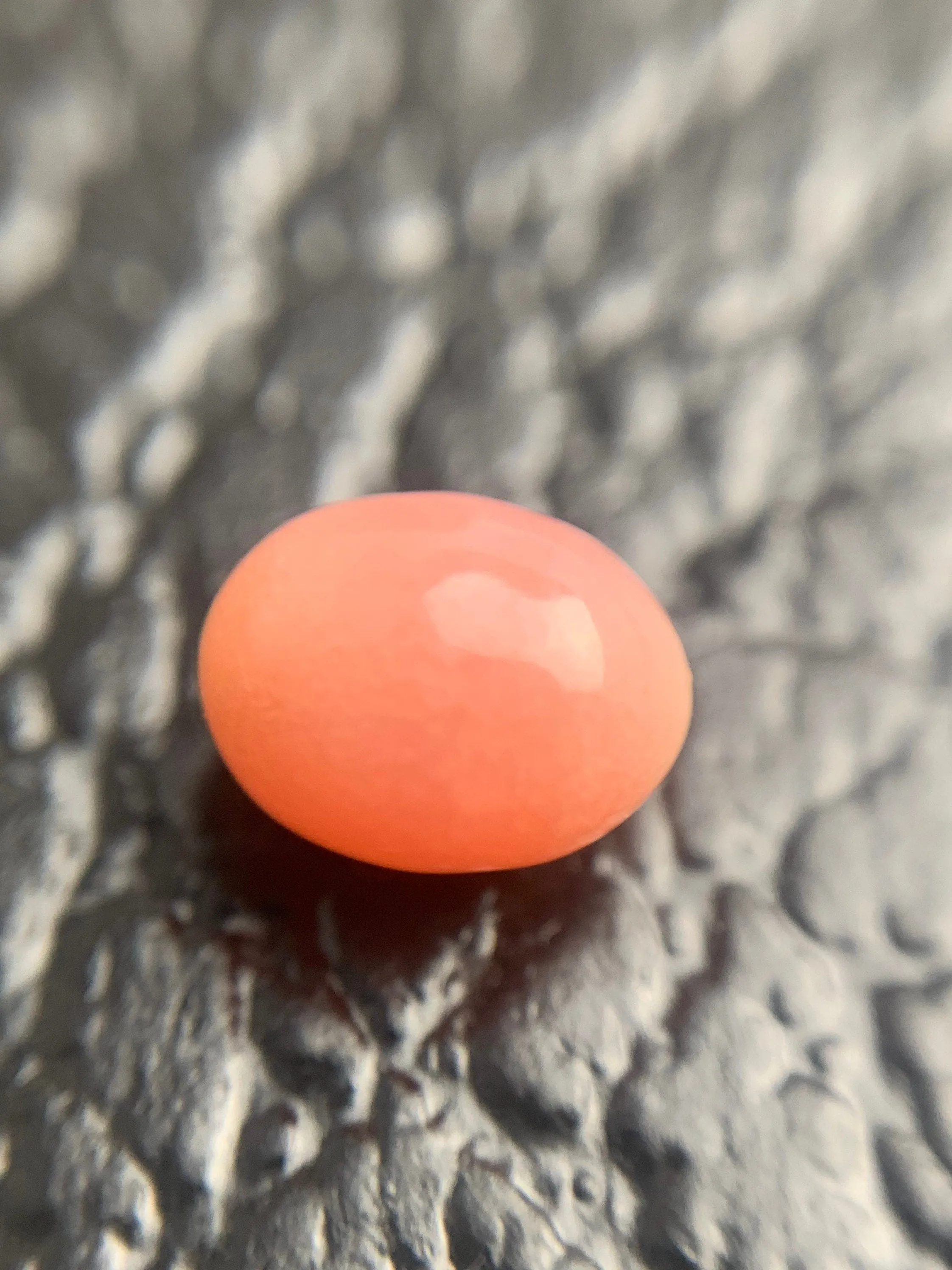 Natural Conch Loose Pearl 1.78ct #45