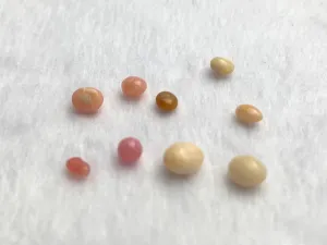 Natural Conch Loose Pearls 3.6ct total (9 pears) #63