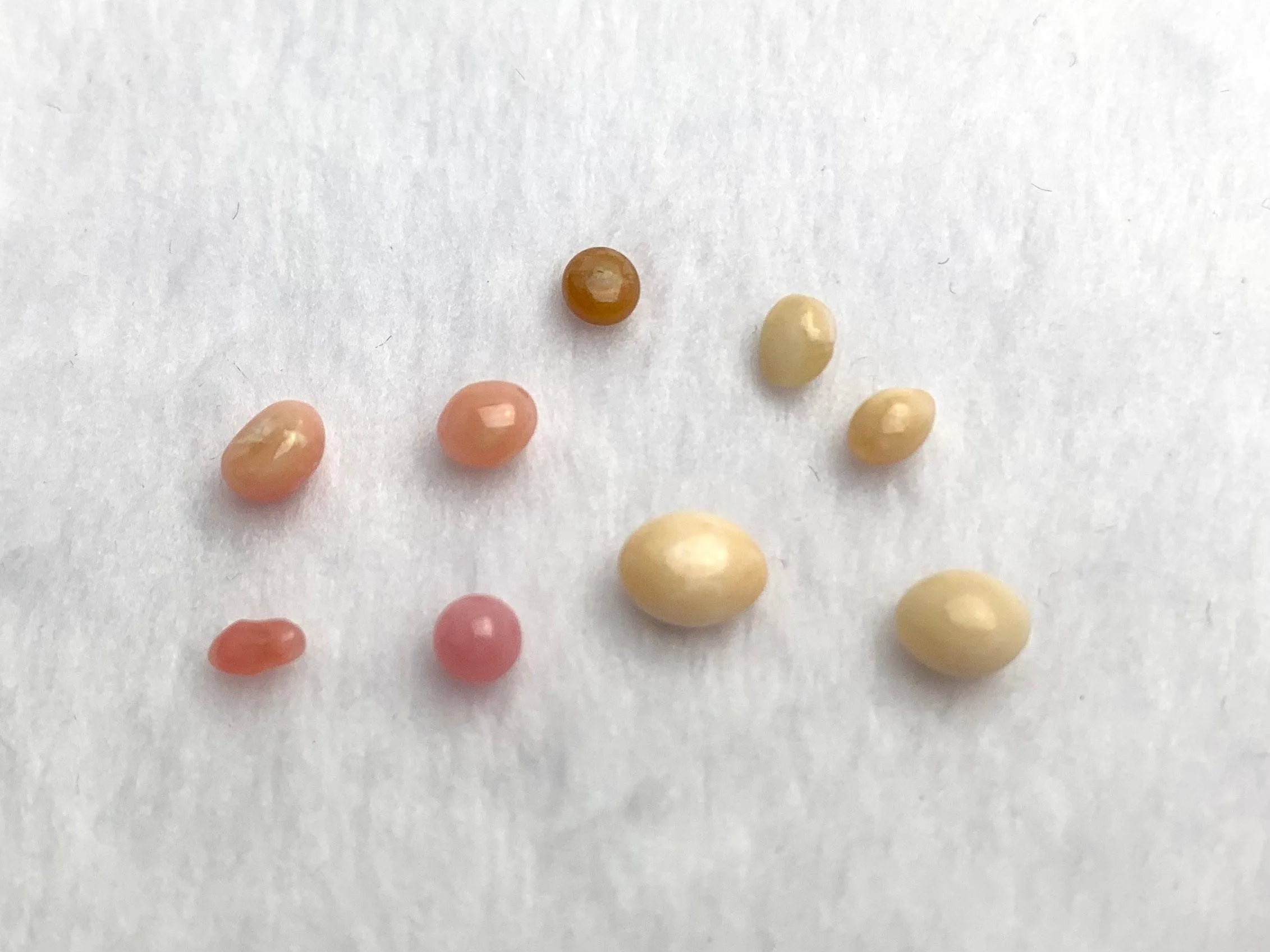 Natural Conch Loose Pearls 3.6ct total (9 pears) #63