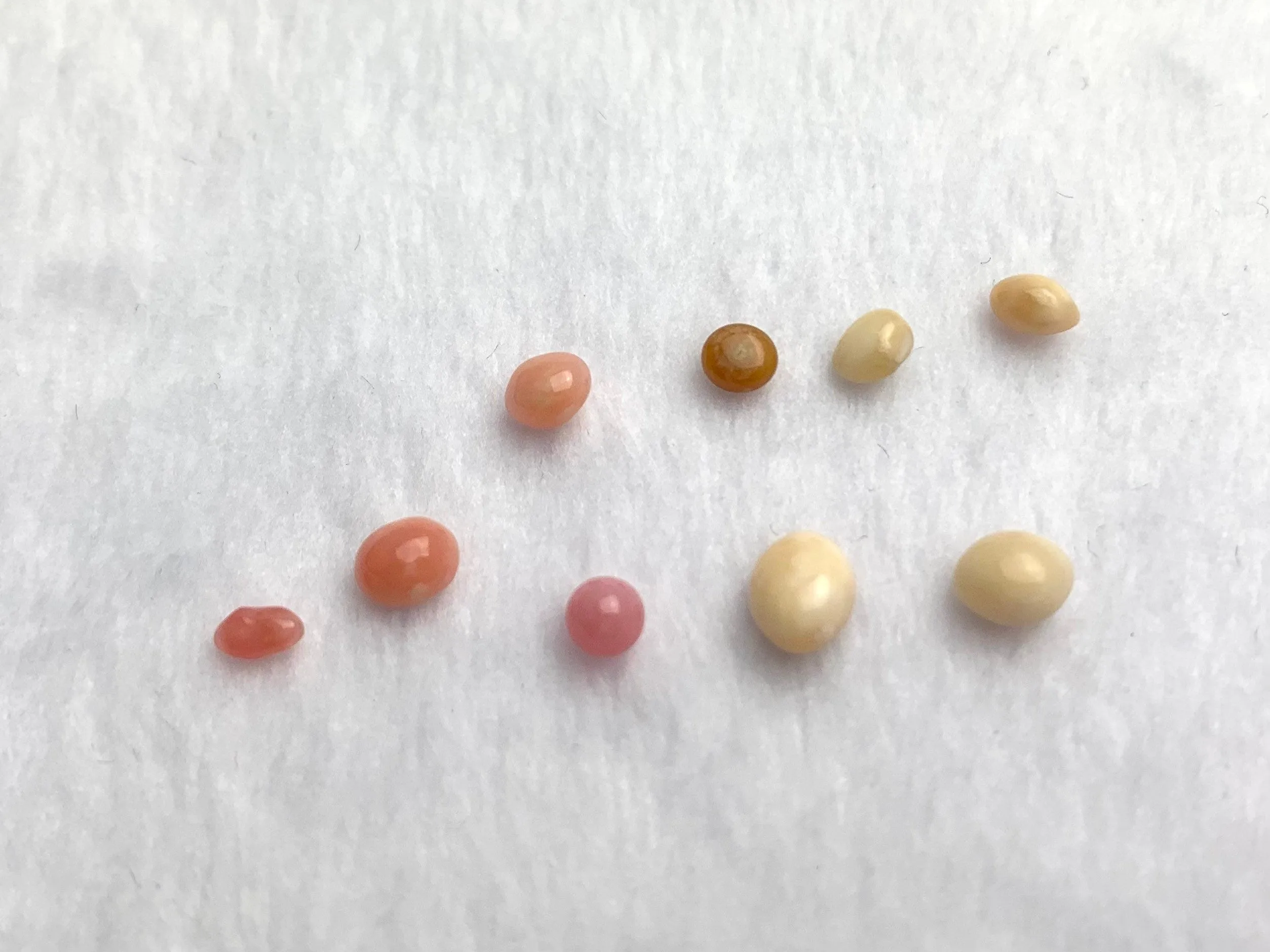 Natural Conch Loose Pearls 3.6ct total (9 pears) #63