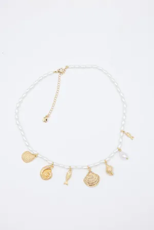 Pearl and Shell Necklace in Gold | QNB954GDCRM