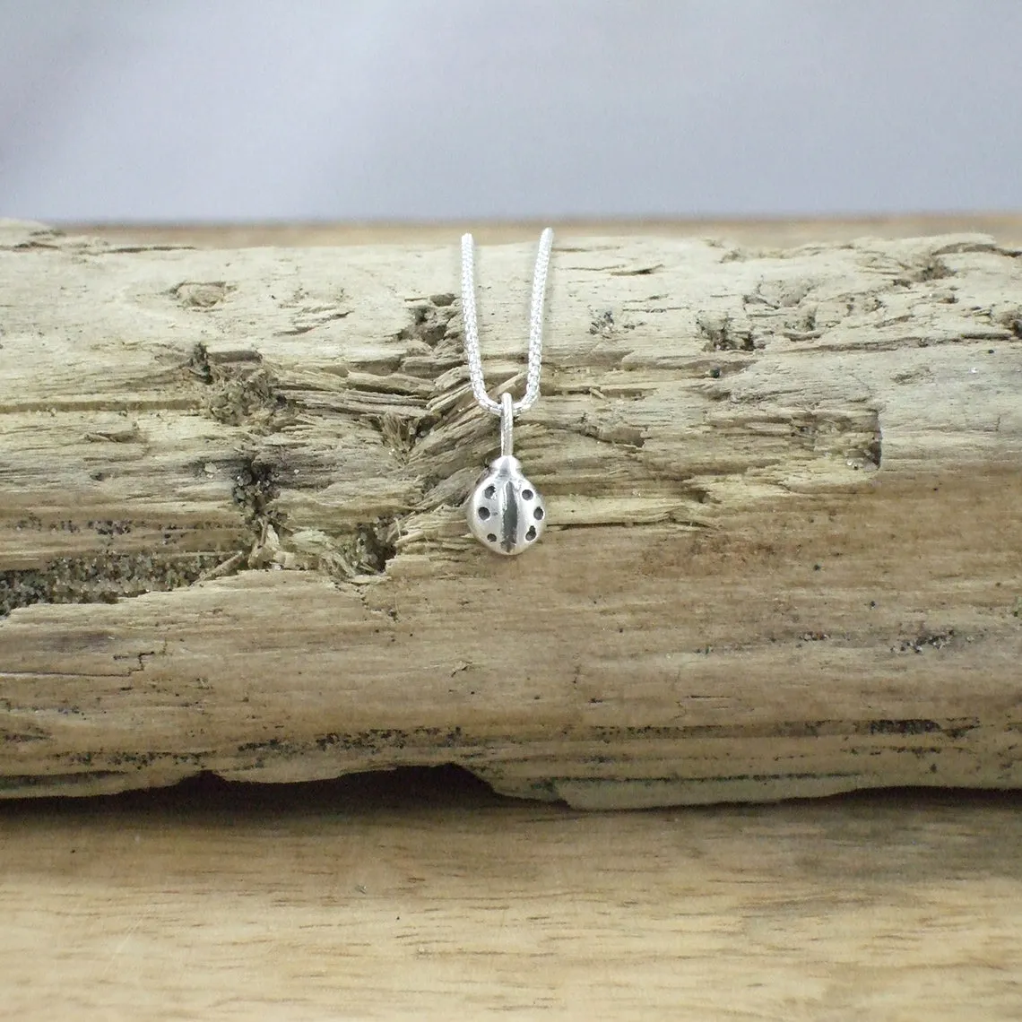 Pequeño Ladybug Pendant with Chain