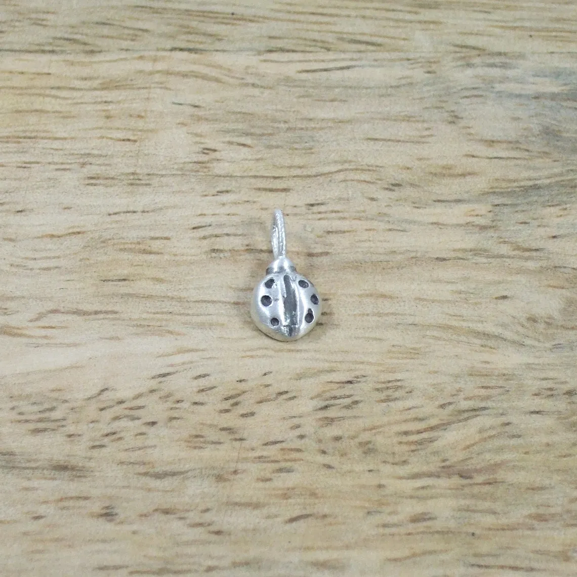 Pequeño Ladybug Pendant with Chain