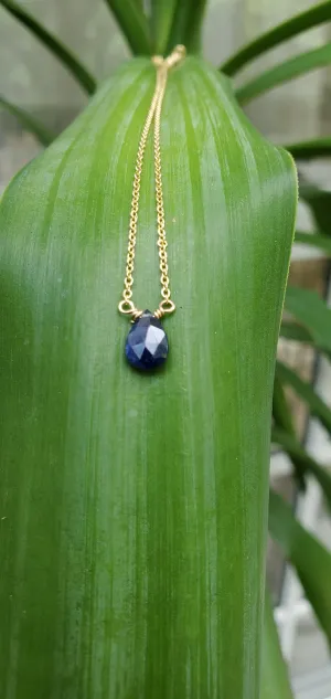 September Birthstone Gold-Filled Necklace (Sapphire)
