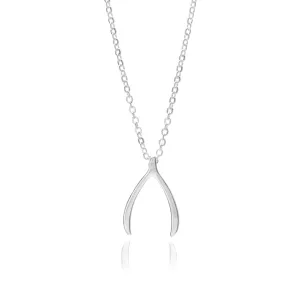 Silver Wishbone Necklace