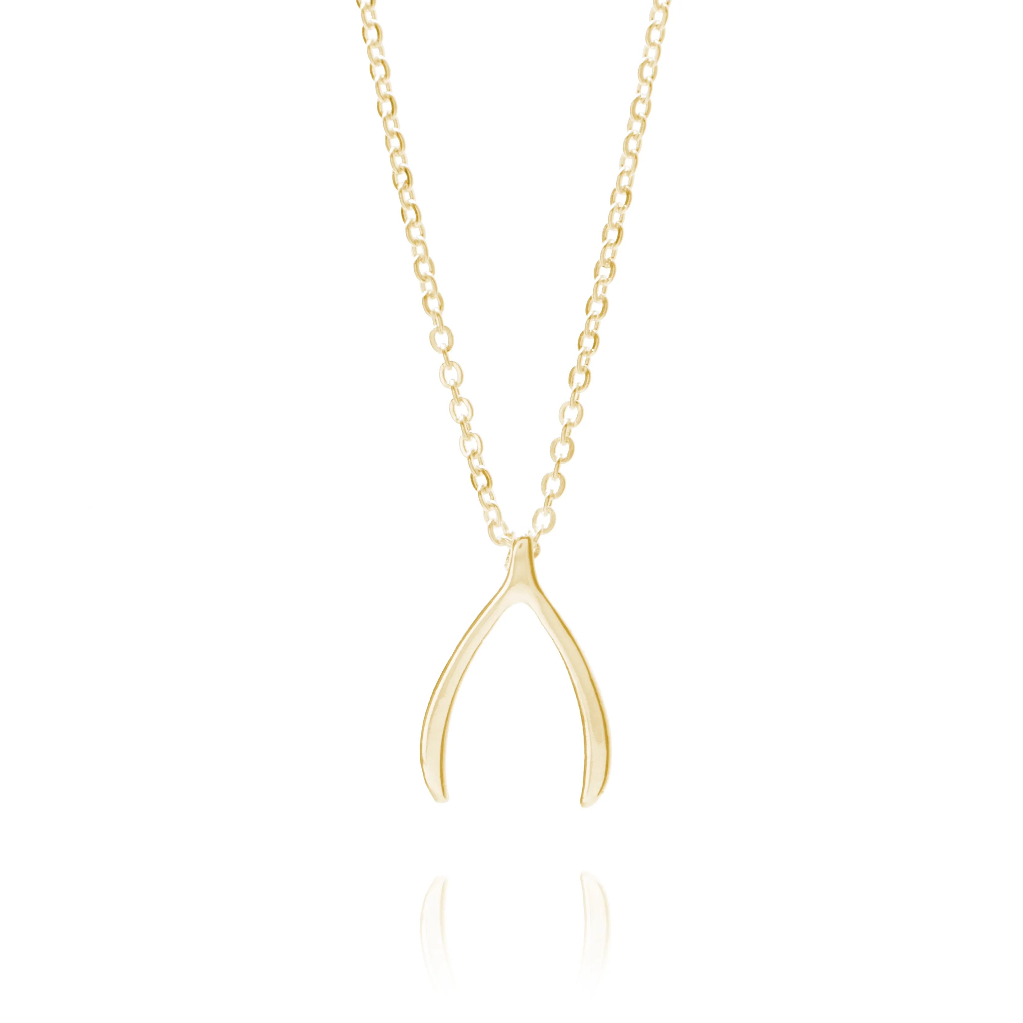 Silver Wishbone Necklace