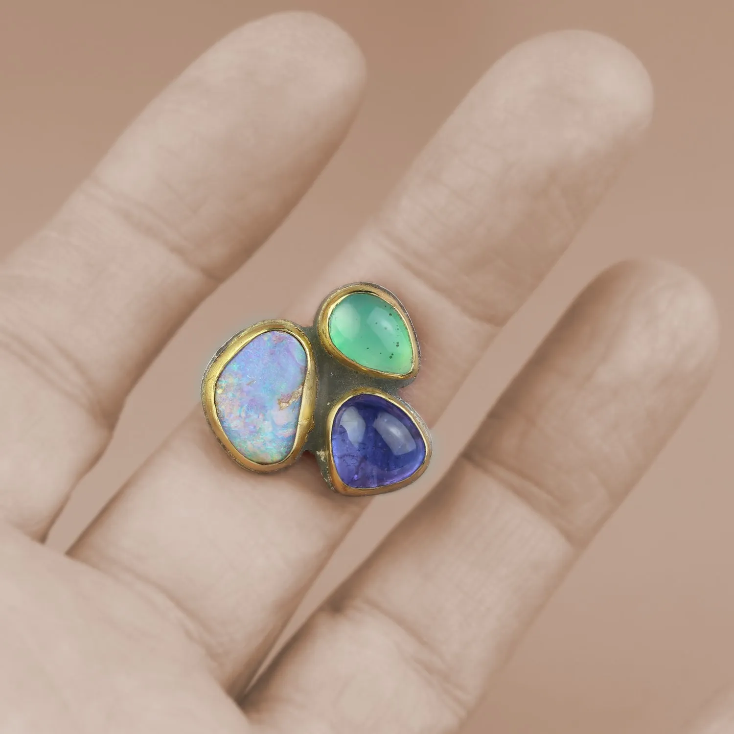 SOLD Rock Party Ring - Wood Fossil Opal, Tanzanite and Gem Silica. Size 7.