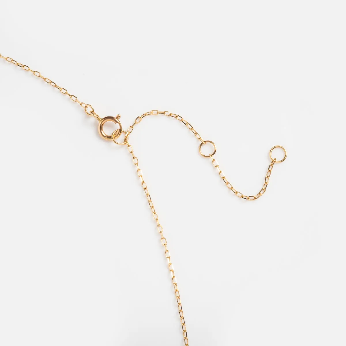 Solid Gold 2025 January Capsule Classic Garnet Pendant Necklace