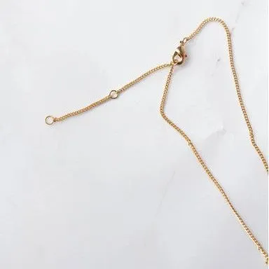 Star Sign Pendant Necklace - Capricorn